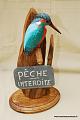 MartinPecheur_ 006